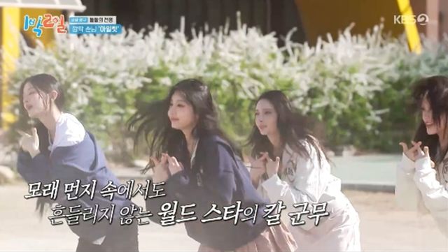 '1박 2일' 방송화면 캡처