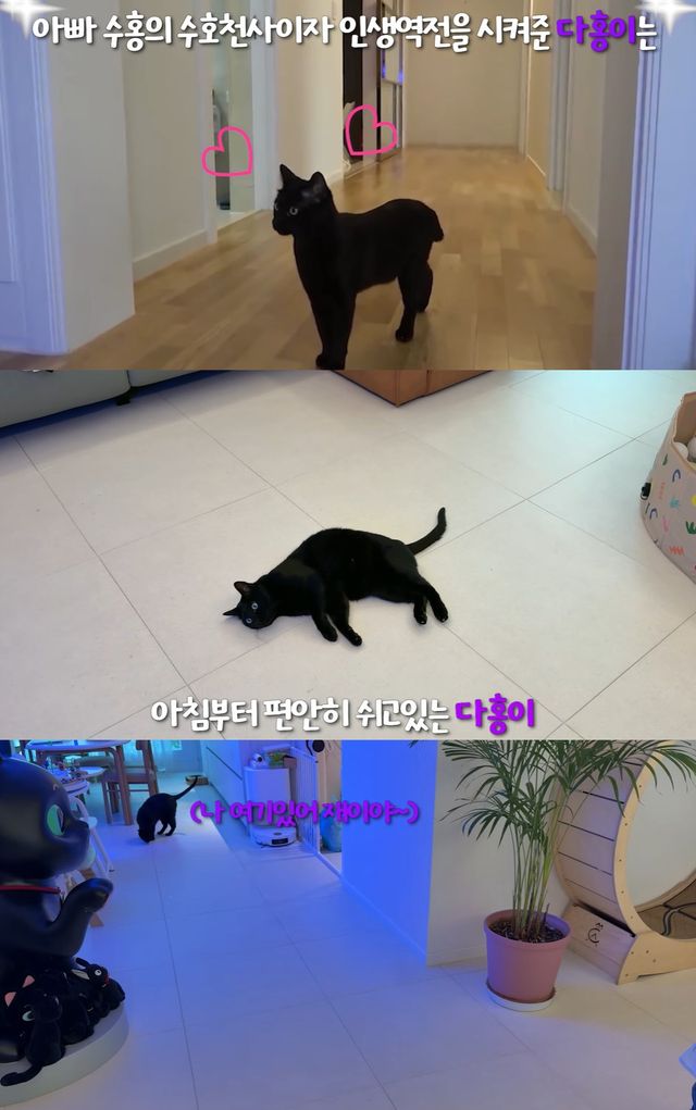 유튜브 '행복해다홍' 캡쳐