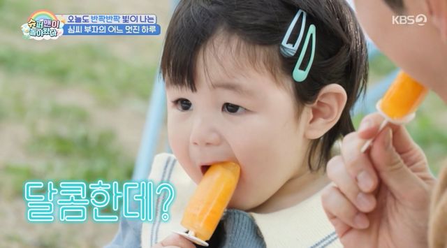 슈돌