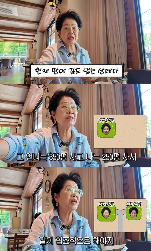 유튜브 채널 '순풍 선우용여'