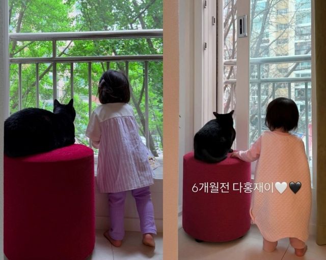 사진 = 박수홍 인스타그램 스토리