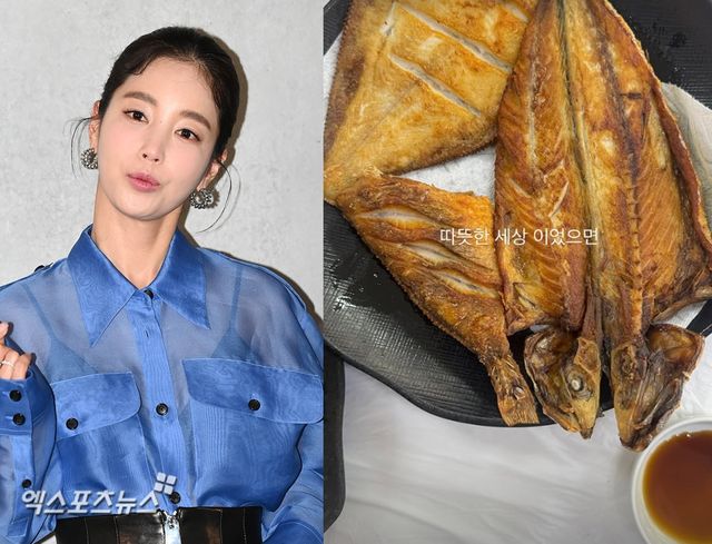 엑스포츠뉴스DB 기은세, 기은세 계정
