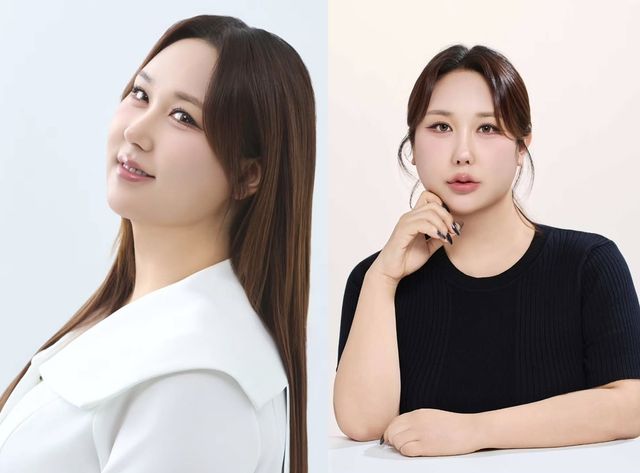풍자가 공개한 프로필