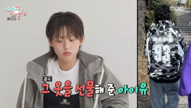 MBC '전지적 참견 시점'