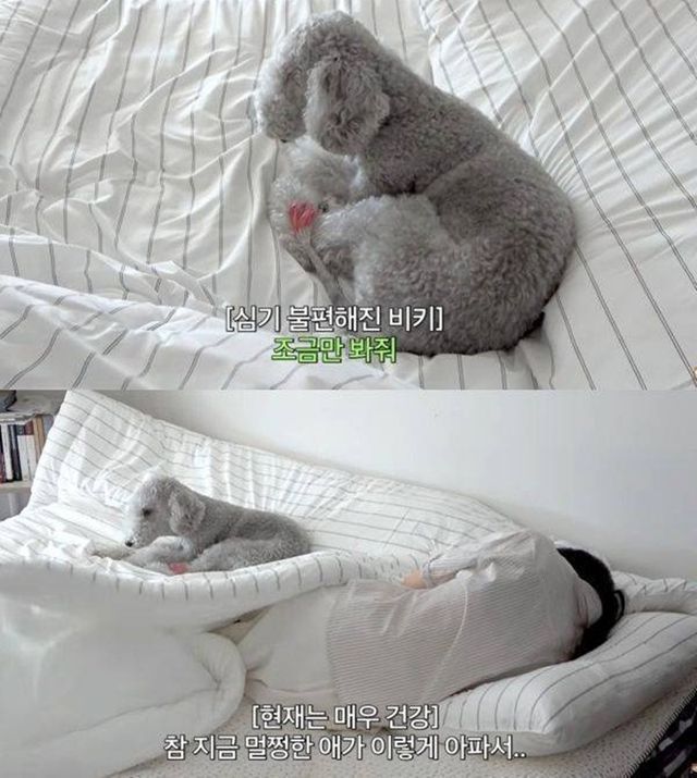엄지원 유튜브