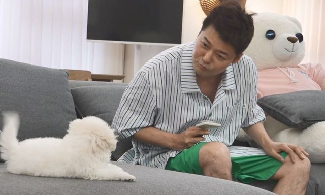 MBC '나 혼자 산다'