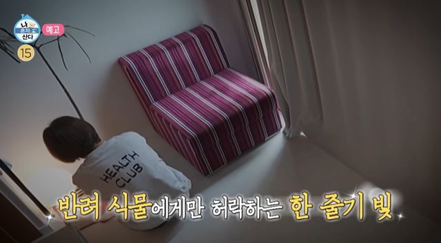 MBC '나 혼자 산다'