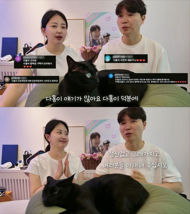 유튜브 채널 '박수홍 행복해다홍'