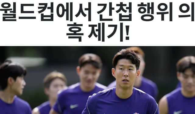 독일 빌트 한국어 번역판