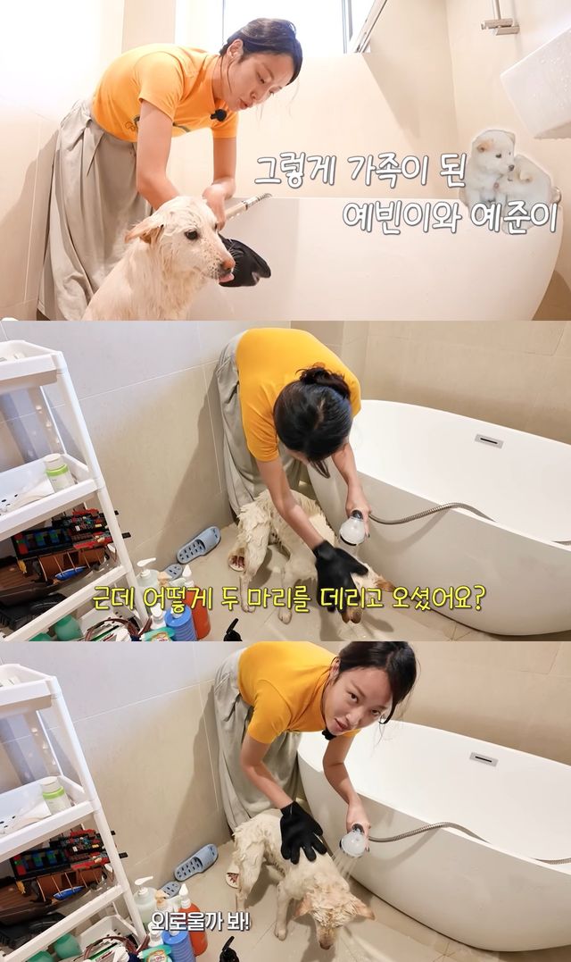 유튜브 '황정음' 캡쳐