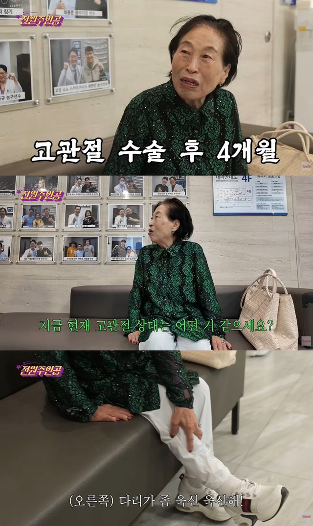'전원주인공' 유튜브 캡처