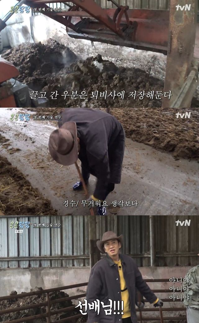 tvN '콩콩팜팜' 캡쳐
