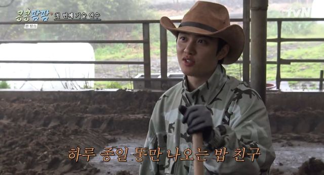 tvN '콩콩팜팜' 캡쳐