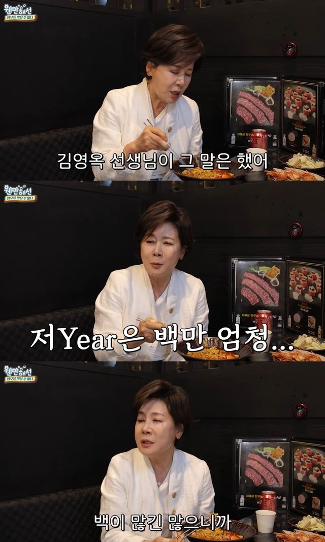 유튜브 채널 '웬만해선 정수를 막을 수 없다' 캡처
