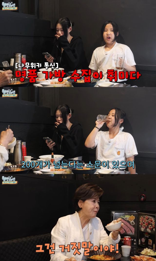 유튜브 채널 '웬만해선 정수를 막을 수 없다' 캡처
