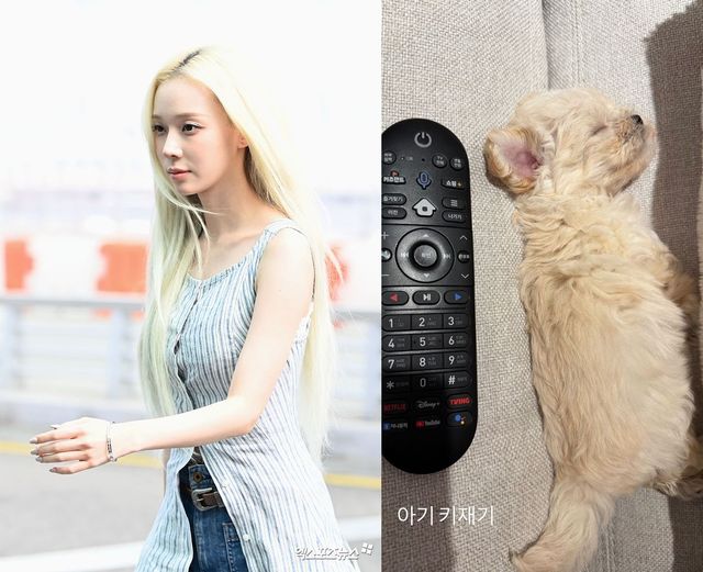 엑스포츠뉴스DB, 윈터 SNS