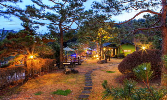 오르비스펜션 잔디 정원