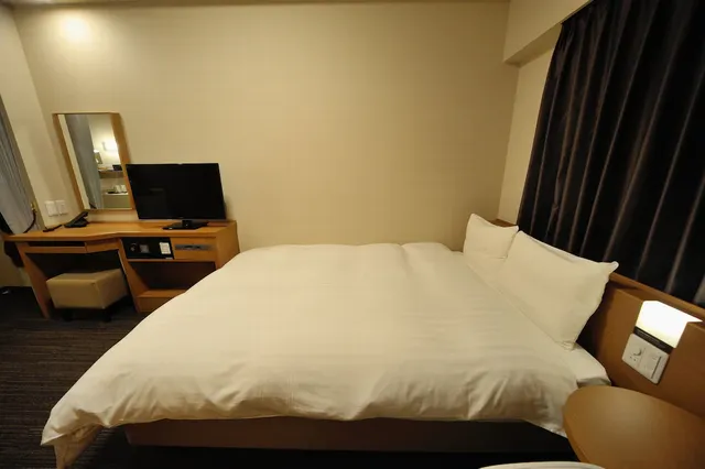 도미 인 아키하바라 핫 스피링