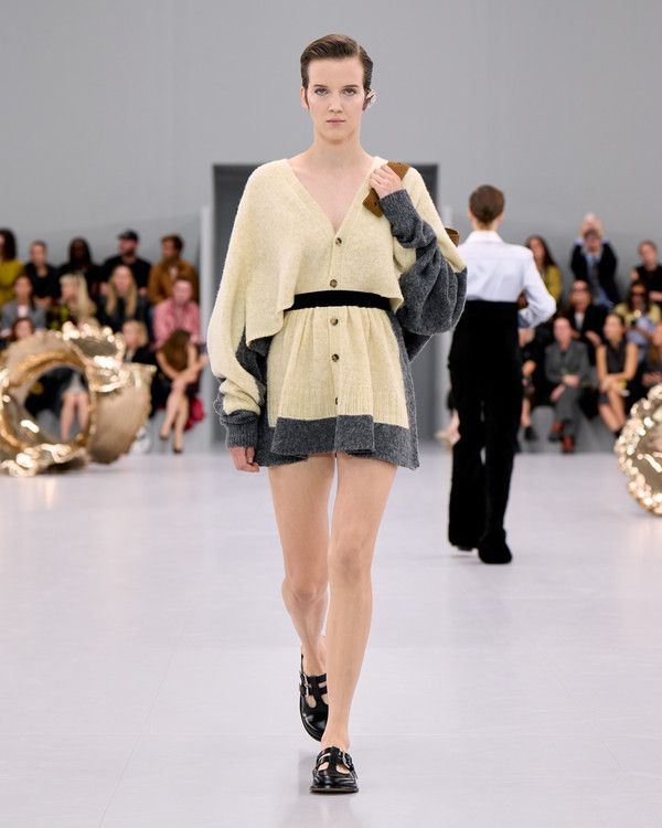 /사진=로에베(Loewe)