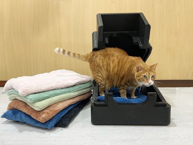 /사진=폴햄(POLHAM)