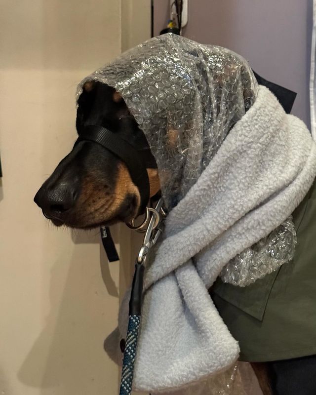 /사진=블랙핑크 리사 인스타그램