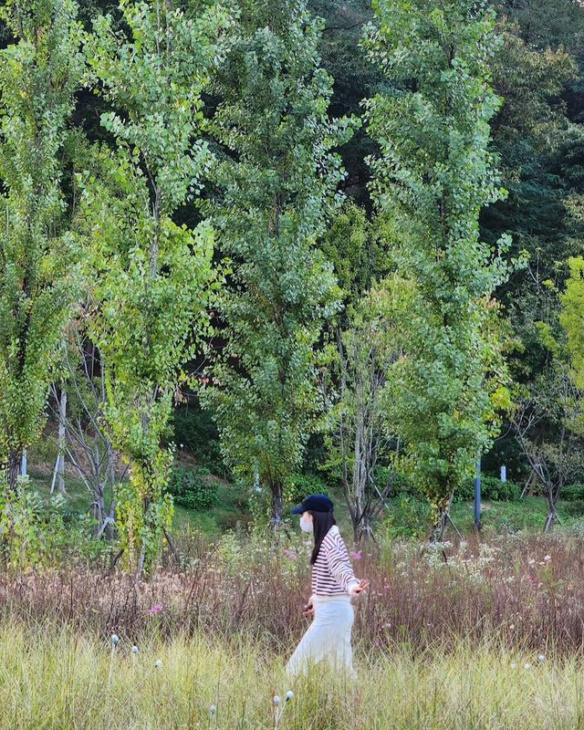 자연 속에서 산뜻한 스트라이프 룩을 선보이는 한선화, 가을 감성 가득@shhdaily