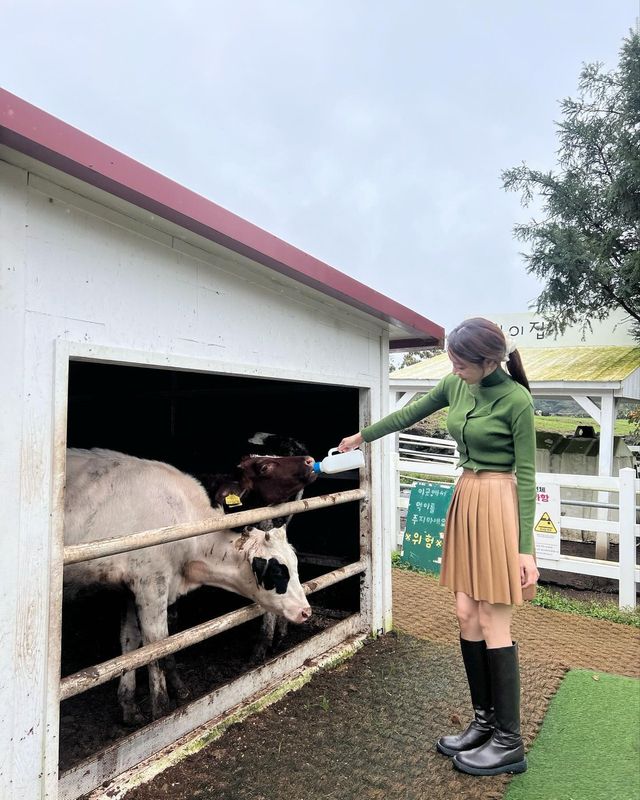 은지, 송아지에게 우유병을 건네며 따뜻한 순간 포착/사진=브브걸 은지 인스타그램