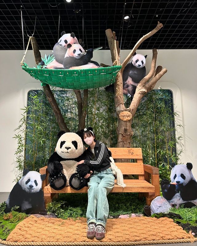 강지영, 판다와의 러블리한 만남"캡션/사진=강지영 인스타그램