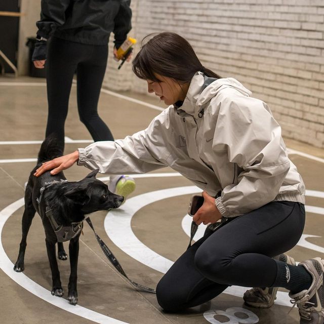 /사진=임세미 인스타그램