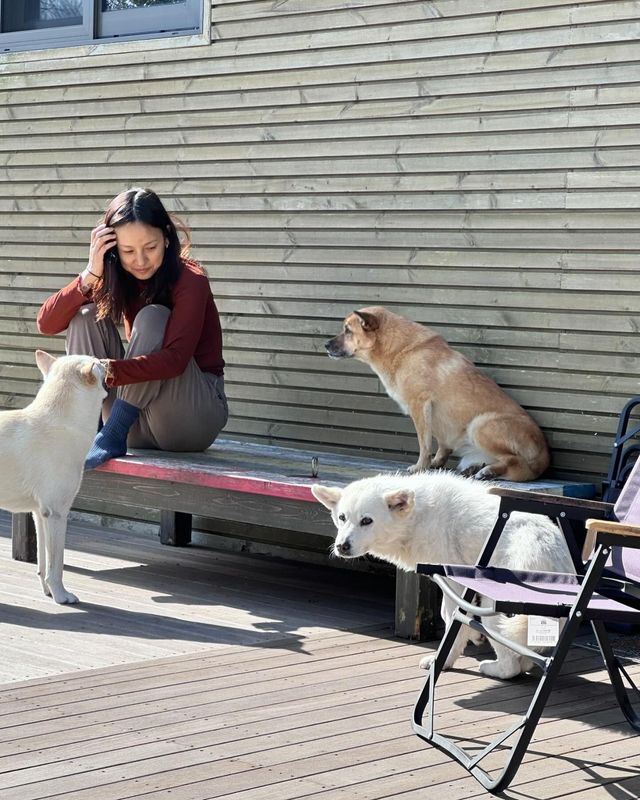 /사진=이효리 인스타그램