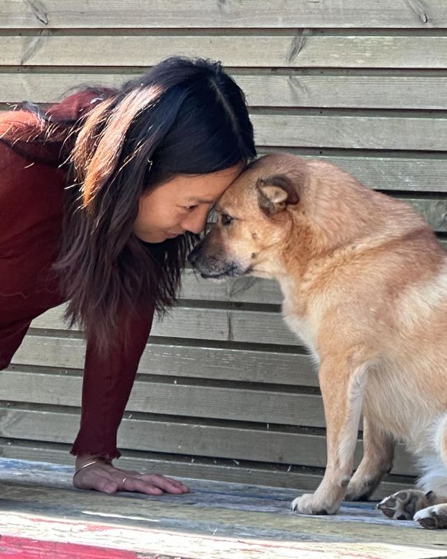 /사진=이효리 인스타그램