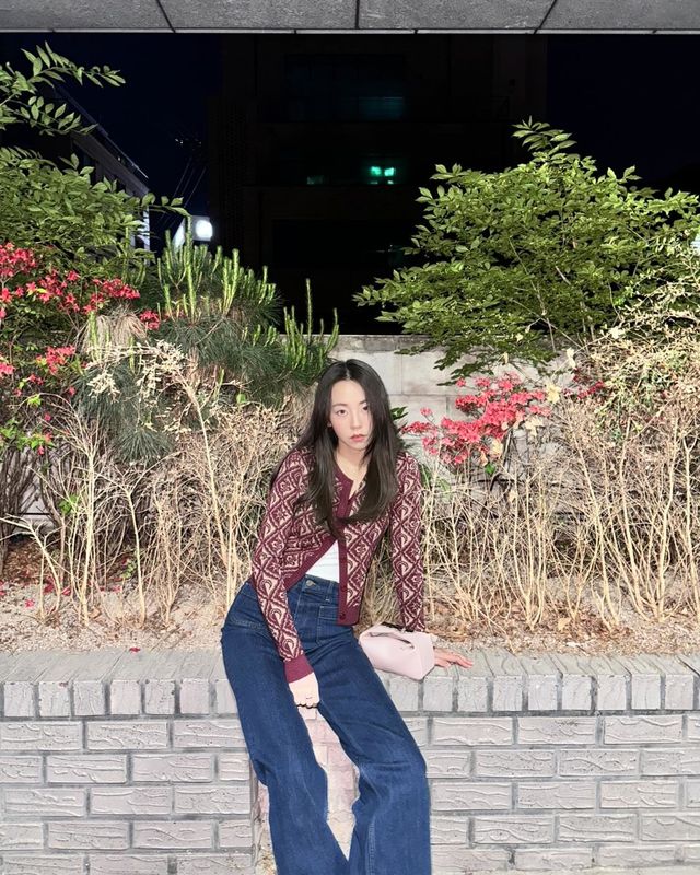 /사진=안소희 인스타그램