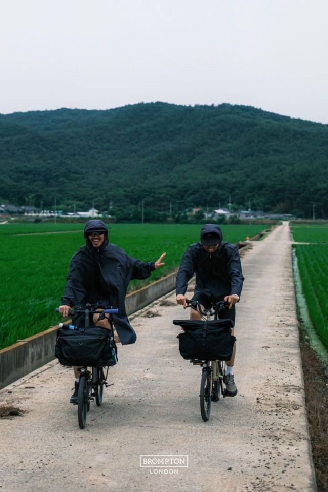 /사진=브롬톤 런던(BROMPTON LONDON)