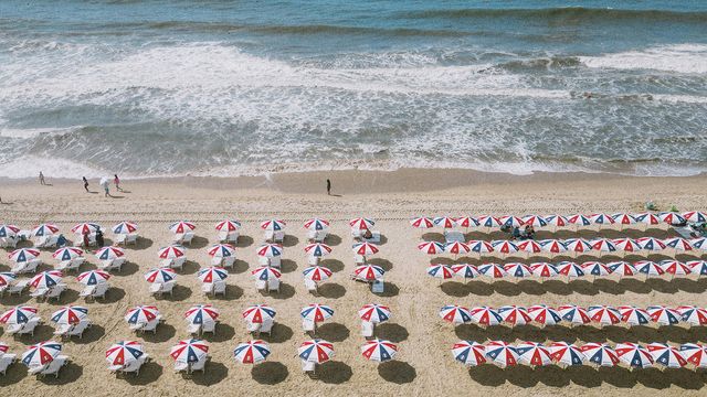 /사진=폴햄(POLHAM)