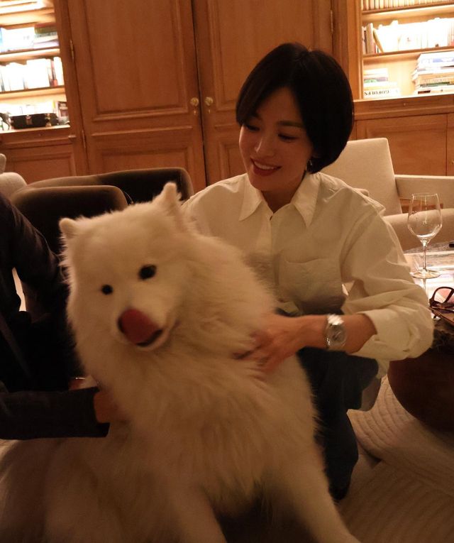 /사진=송혜교 인스타그램