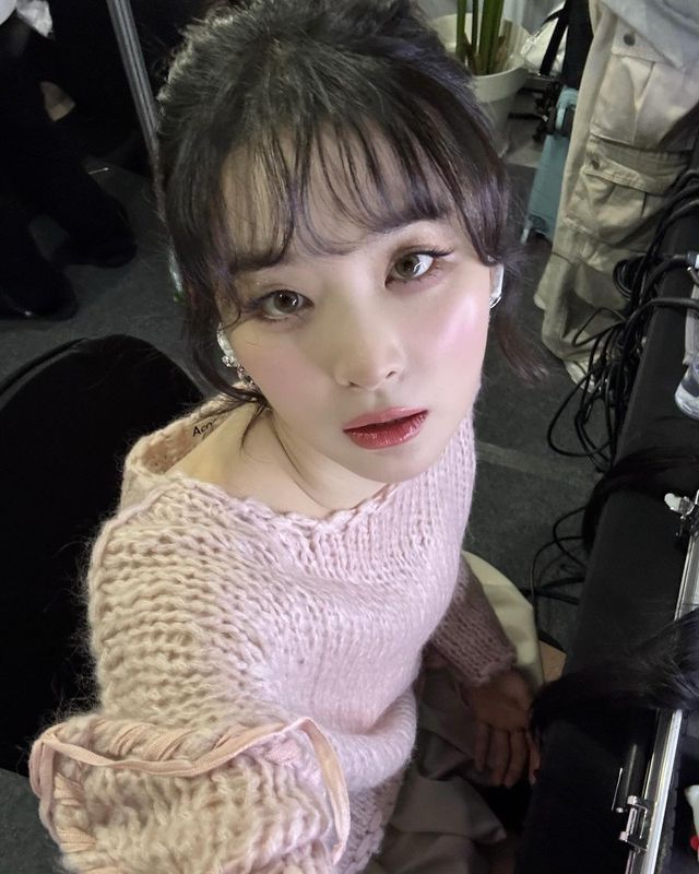 /사진= 레드벨벳 슬기 인스타그램