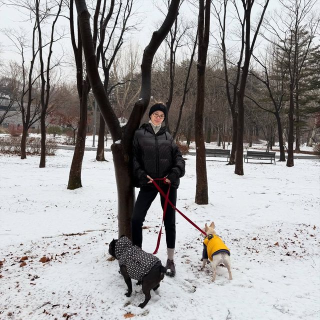 /사진=아이린 인스타그램