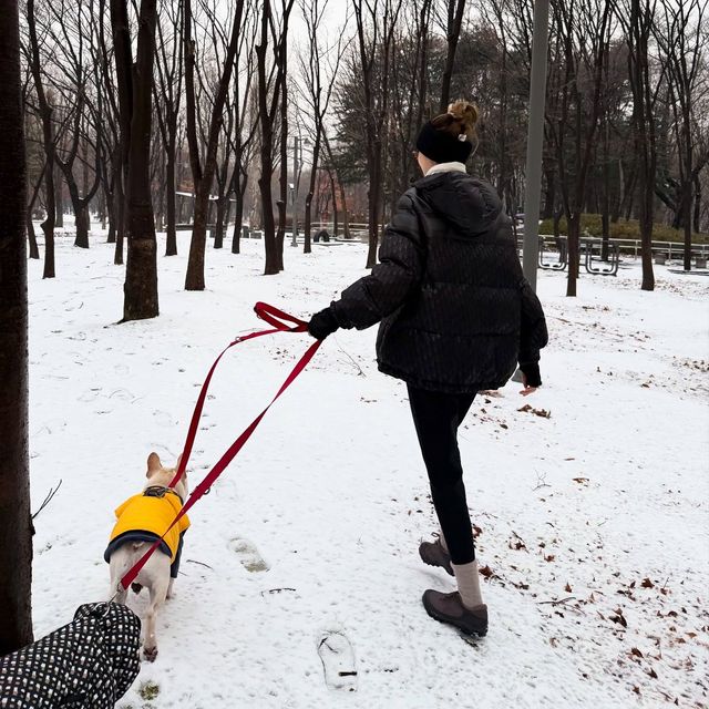 /사진=아이린 인스타그램