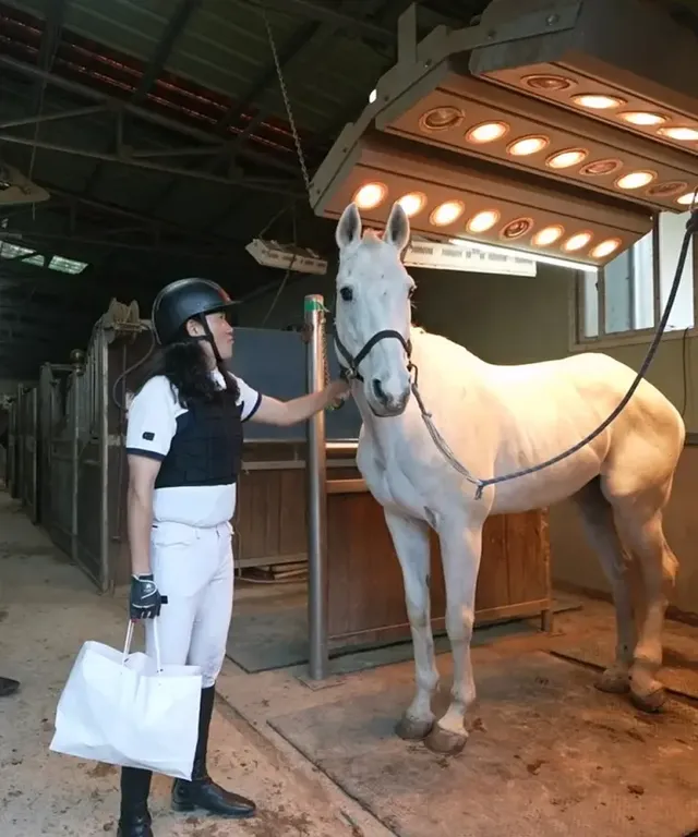 /사진=MBC ‘나 혼자 산다’