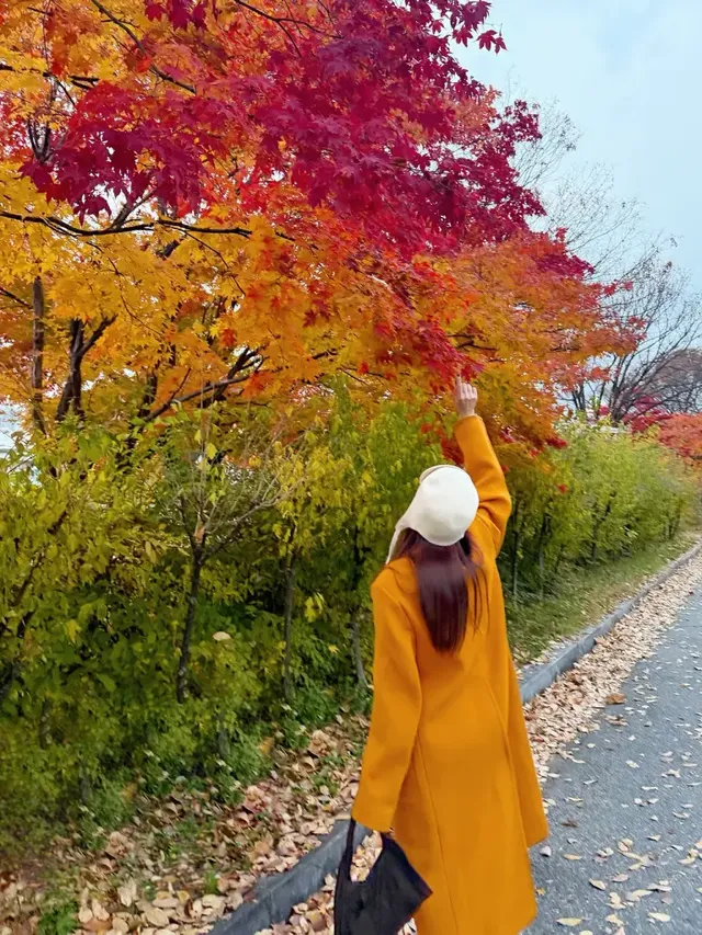 고즈넉한 단풍 배경과 조화로운 머스타드 더플코트 스타일을 선보이는 제시카 /사진=제시카 인스타그램