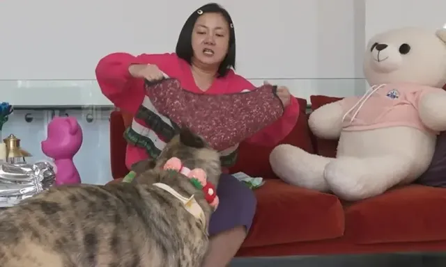 /사진=MBC ‘나 혼자 산다’, 박나래의 반려견 ‘복돌이’ 동거 공개