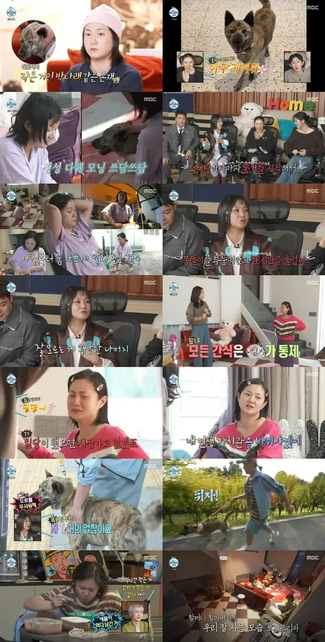 /사진=MBC 나혼자산다, 반려견 및 선후배 교감으로 시청률 견인