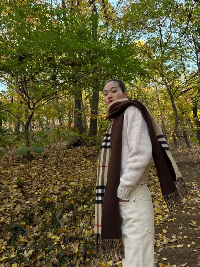 신현지가 가을 숲길에서 선보인 포근한 아이보리 니트와 버버리 체크 머플러 룩. /사진=신현지 인스타그램