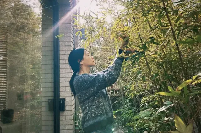 푸른 잎사귀들 사이, 마치 한 폭의 그림처럼 정적이고 사색적인 분위기를 자아내는 이영애. /사진=이영애 인스타그램