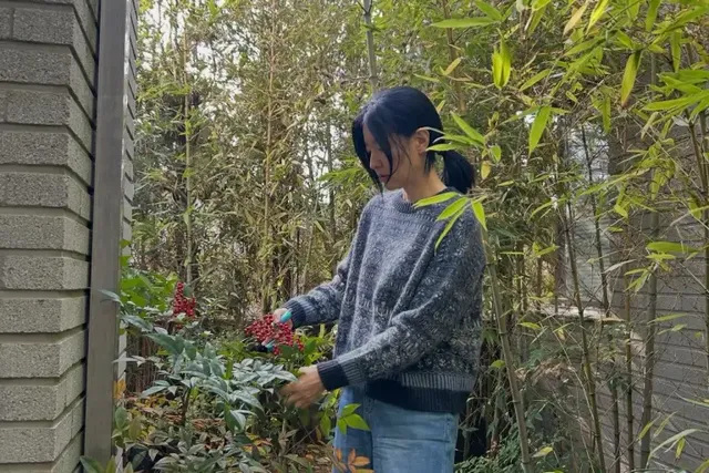 대나무 숲을 배경으로, 니트가 선사하는 자연 친화적인 무드를 완벽하게 소화한 이영애. /사진=이영애 인스타그램
