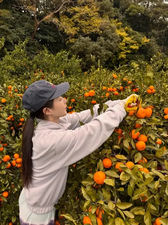 /사진=권유리, ‘청년농부’ 변신…스타 콘텐츠의 새 지평
