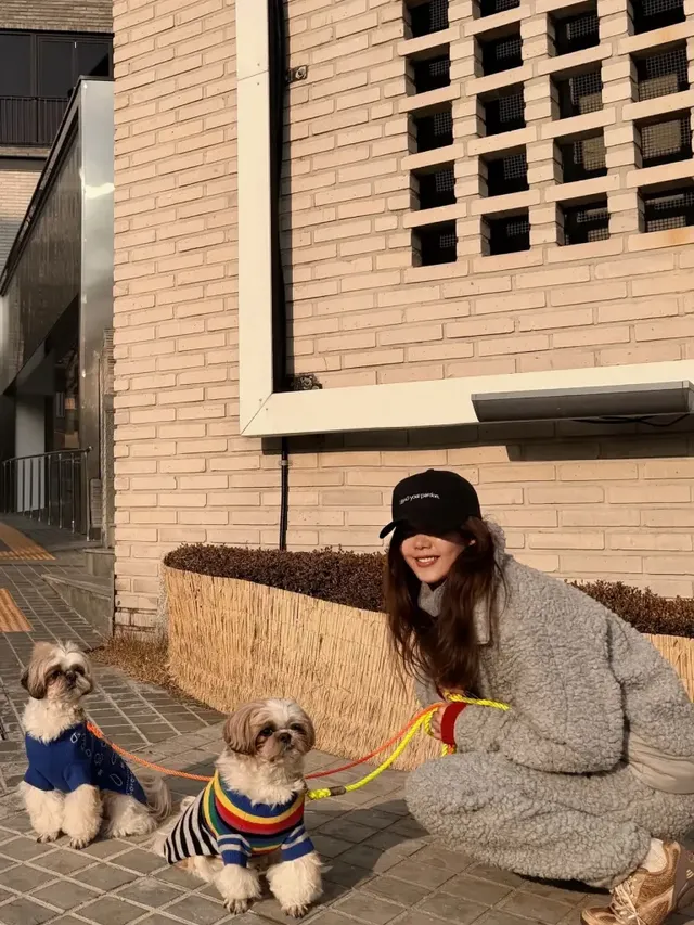 부드러운 햇살 아래 반려견과 눈을 맞추며 미소 짓는 채정안의 내추럴한 겨울 산책 순간, 그녀의 타고난 우아함이 빛난다. /사진=채정안 인스타그램