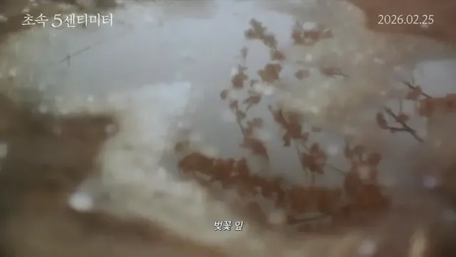 /사진=〈초속 5센티미터〉, 신카이 마코토 원작 실사 영화 한국 개봉