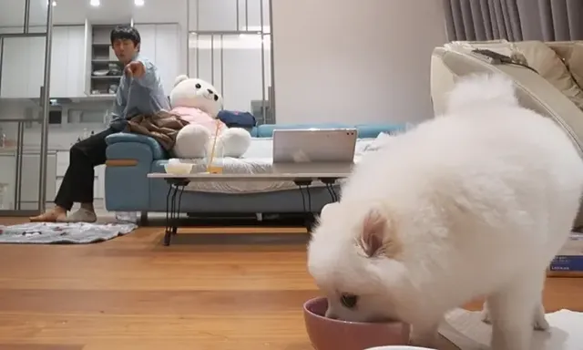 /사진=MBC ‘나 혼자 산다’, 기안84의 어머니 생신상