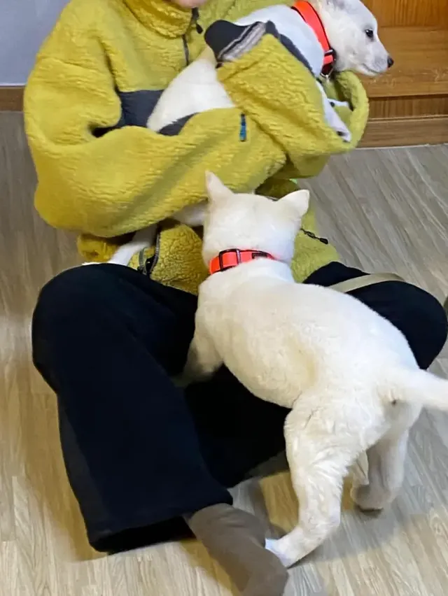 /사진=슬기 인스타그램